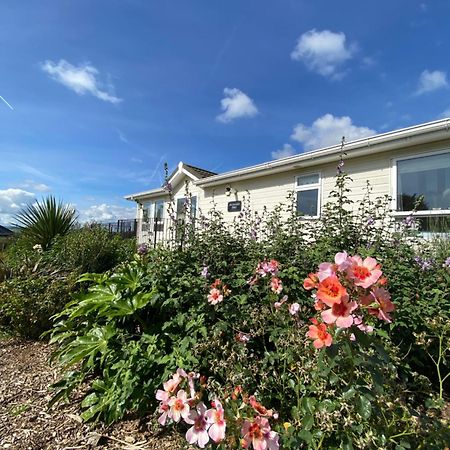 East Kitcham Lodge Launceston Exteriér fotografie